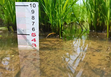 Carbon offset measuring with a device in the ground